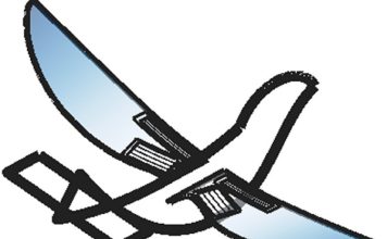 Drones poderão voar como pássaros com motores a serem substituídos por materiais inteligentes