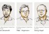 Prémio Nobel de Medicina de 2026 atribuído a três cientistas por descobertas que melhoram compreensão sobre o cérebro Prémio Nobel de Medicina de 2026 atribuído a três cientistas por descobertas que melhoram compreensão sobre o cérebro