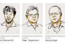 Prémio Nobel de Medicina de 2026 atribuído a três cientistas por descobertas que melhoram compreensão sobre o cérebro Prémio Nobel de Medicina de 2026 atribuído a três cientistas por descobertas que melhoram compreensão sobre o cérebro