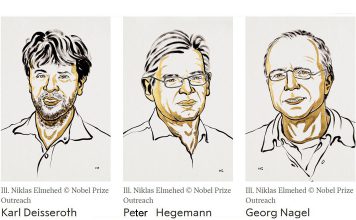 Prémio Nobel de Medicina de 2026 atribuído a três cientistas por descobertas que melhoram compreensão sobre o cérebro