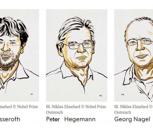 Prémio Nobel de Medicina de 2026 atribuído a três cientistas por descobertas que melhoram compreensão sobre o cérebro