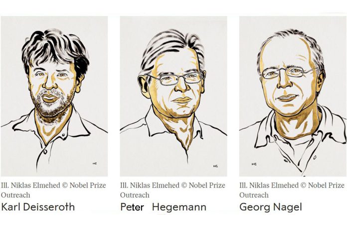 Prémio Nobel de Medicina de 2026 atribuído a três cientistas por descobertas que melhoram compreensão sobre o cérebro Prémio Nobel de Medicina de 2026 atribuído a três cientistas por descobertas que melhoram compreensão sobre o cérebro