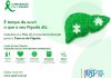 Cancro do Fígado: Prevenção e deteção precoce pode diminuir mortalidade Cancro do Fígado: Prevenção e deteção precoce pode diminuir mortalidade