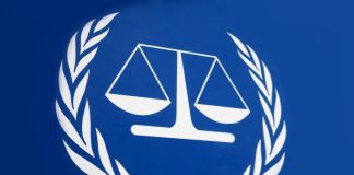 Eurodeputados querem que a União Europeia proteja o Tribunal Penal Internacional dos ataques dos EUA. Eurodeputados querem que a União Europeia proteja o Tribunal Penal Internacional dos ataques dos EUA