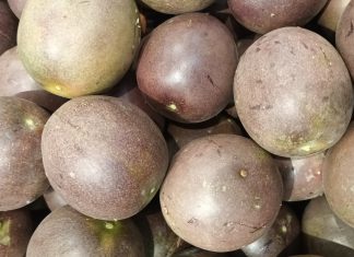 Casca de maracujá-roxo pode como coadjuvante nutricional ajudar a combater a inflamação associada à asma