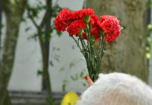 Valença celebra os 52 anos do 25 de Abril e os 50 de Poder Local Democrático