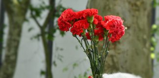 Valença celebra os 52 anos do 25 de Abril e os 50 de Poder Local Democrático