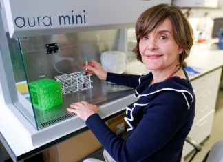 COVID Longa é mais incapacitante nas mulheres do que nos homens