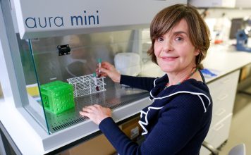 COVID Longa é mais incapacitante nas mulheres do que nos homens