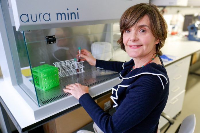 COVID Longa é mais incapacitante nas mulheres do que nos homens