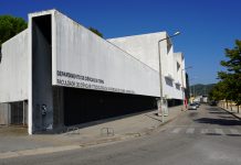 Plantas com flor com cerca de 87 milhões de anos descobertas por investigadores da Universidade de Coimbra