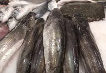 União Europeia e São Tomé e Príncipe estabelecem novas regras para pesca por navios europeus União Europeia e São Tomé e Príncipe estabelecem novas regras para pesca por navios europeus