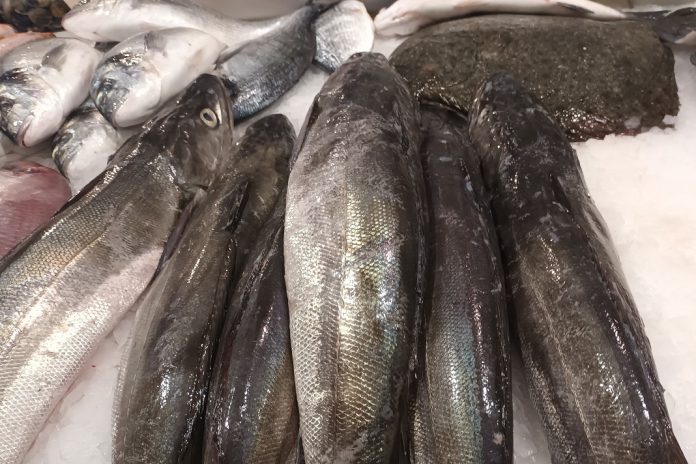 União Europeia e São Tomé e Príncipe estabelecem novas regras para pesca por navios europeus