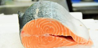 Consumo de peixe gorduroso é benéfico para o cérebro mas pode não prevenir a doença de Alzheimer Consumo de peixe gorduroso é benéfico para o cérebro mas pode não prevenir a doença de Alzheimer
