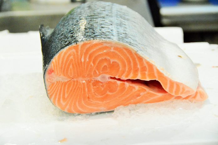 Consumo de peixe gorduroso é benéfico para o cérebro mas pode não prevenir a doença de Alzheimer